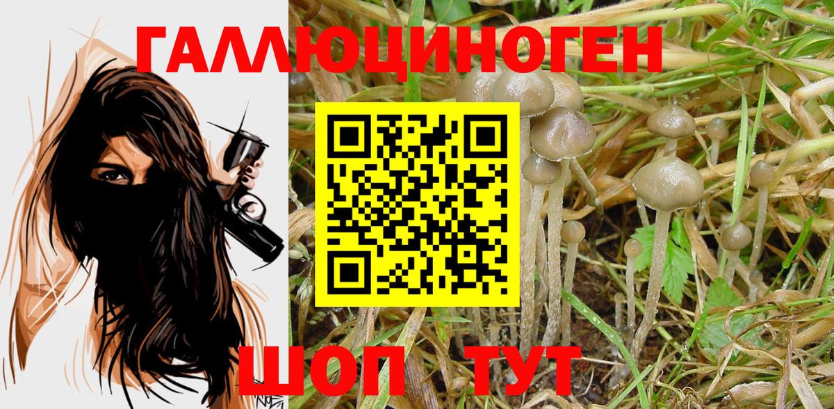 где можно купить   Псилоцибиновые грибы Psilocybine cubensis  Вход с VPN  Галлюциногенные грибы мицелий  Волжский 
