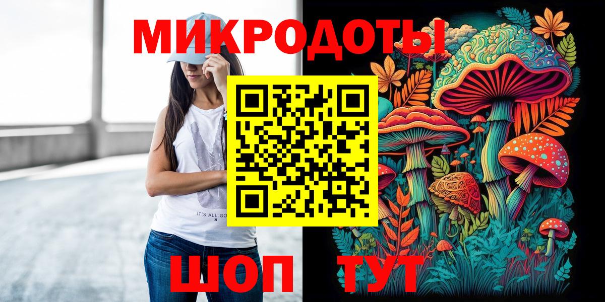 Псилоцибиновые грибы Psilocybine cubensis Волжский